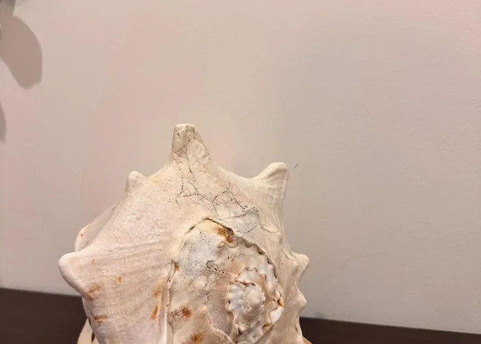 Refugio Suave Mar Apartmán